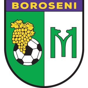 Moldova Boroseni Logo